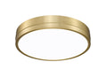 Z-LITE, ALGAR FLUSH MOUNT, FLUSH MOUNT CEILING LIGHTS