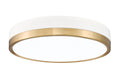 Z-LITE, ALGAR FLUSH MOUNT, FLUSH MOUNT CEILING LIGHTS 