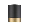 Z-LITE, ALGAR FLUSH MOUNT, FLUSH MOUNT CEILING LIGHTS