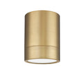 Z-LITE, ALGAR FLUSH MOUNT, FLUSH MOUNT CEILING LIGHTS