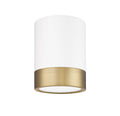 Z-LITE, ALGAR FLUSH MOUNT, FLUSH MOUNT CEILING LIGHTS