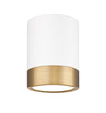 Z-LITE, ALGAR FLUSH MOUNT, FLUSH MOUNT CEILING LIGHTS 