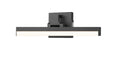 Z-LITE, LIAM VANITY, VANITY LIGHT