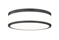 Z-LITE, BALLORD FLUSH MOUNT, FLUSH MOUNT CEILING LIGHTS