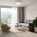 Z-LITE, BALLORD FLUSH MOUNT, FLUSH MOUNT CEILING LIGHTS