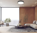 Z-LITE, STARI FLUSH MOUNT, FLUSH MOUNT CEILING LIGHTS