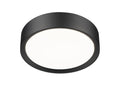 Z-LITE, KAWAN FLUSH MOUNT, FLUSH MOUNT CEILING LIGHTS