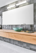 Z-LITE, EGON VANITY, VANITY LIGHT
