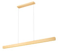 Z-LITE, HUDSON LINEAR CHANDELIER, LINEAR LIGHT