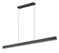 Z-LITE, HUDSON LINEAR CHANDELIER, LINEAR LIGHT