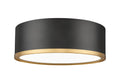 Z-LITE, BRADLEY FLUSH MOUNT, FLUSH MOUNT CEILING LIGHTS