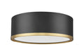 Z-LITE, BRADLEY FLUSH MOUNT, FLUSH MOUNT CEILING LIGHTS