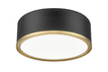 Z-LITE, BRADLEY FLUSH MOUNT, FLUSH MOUNT CEILING LIGHTS