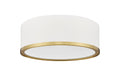 Z-LITE, BRADLEY FLUSH MOUNT, FLUSH MOUNT CEILING LIGHTS