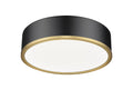 Z-LITE, BRADLEY FLUSH MOUNT, FLUSH MOUNT CEILING LIGHTS