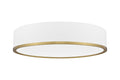 Z-LITE, BRADLEY FLUSH MOUNT, FLUSH MOUNT CEILING LIGHTS