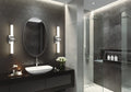 Z-LITE, IDRIS VANITY, VANITY LIGHT