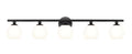 Z-LITE, NEOMA VANITY, VANITY LIGHT