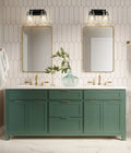 Z-LITE, ANALIA VANITY, VANITY LIGHT