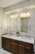 Z-LITE, ASTOR VANITY, VANITY LIGHT