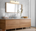 Z-LITE, ASTOR VANITY, VANITY LIGHT