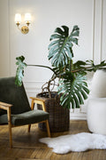 Z-LITE, KATERINA WALL SCONCE, WALL SCONCES