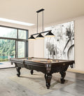 Z-LITE, BRONTE 3 LIGHT BILLIARD, LINEAR LIGHT