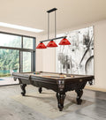 Z-LITE, BRONTE 3 LIGHT BILLIARD, LINEAR LIGHT