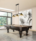 Z-LITE, BRONTE 3 LIGHT BILLIARD, LINEAR LIGHT