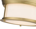 Z-LITE, SONNA FLUSH MOUNT, FLUSH MOUNT CEILING LIGHTS
