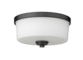 Z-LITE, ARLINGTON FLUSH MOUNT, FLUSH MOUNT CEILING LIGHTS
