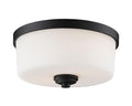 Z-LITE, ARLINGTON FLUSH MOUNT, FLUSH MOUNT CEILING LIGHTS