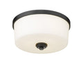 Z-LITE, ARLINGTON FLUSH MOUNT, FLUSH MOUNT CEILING LIGHTS