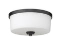 Z-LITE, ARLINGTON FLUSH MOUNT, FLUSH MOUNT CEILING LIGHTS