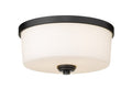 Z-LITE, ARLINGTON FLUSH MOUNT, FLUSH MOUNT CEILING LIGHTS