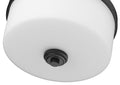 Z-LITE, ARLINGTON FLUSH MOUNT, FLUSH MOUNT CEILING LIGHTS