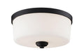 Z-LITE, ARLINGTON FLUSH MOUNT, FLUSH MOUNT CEILING LIGHTS