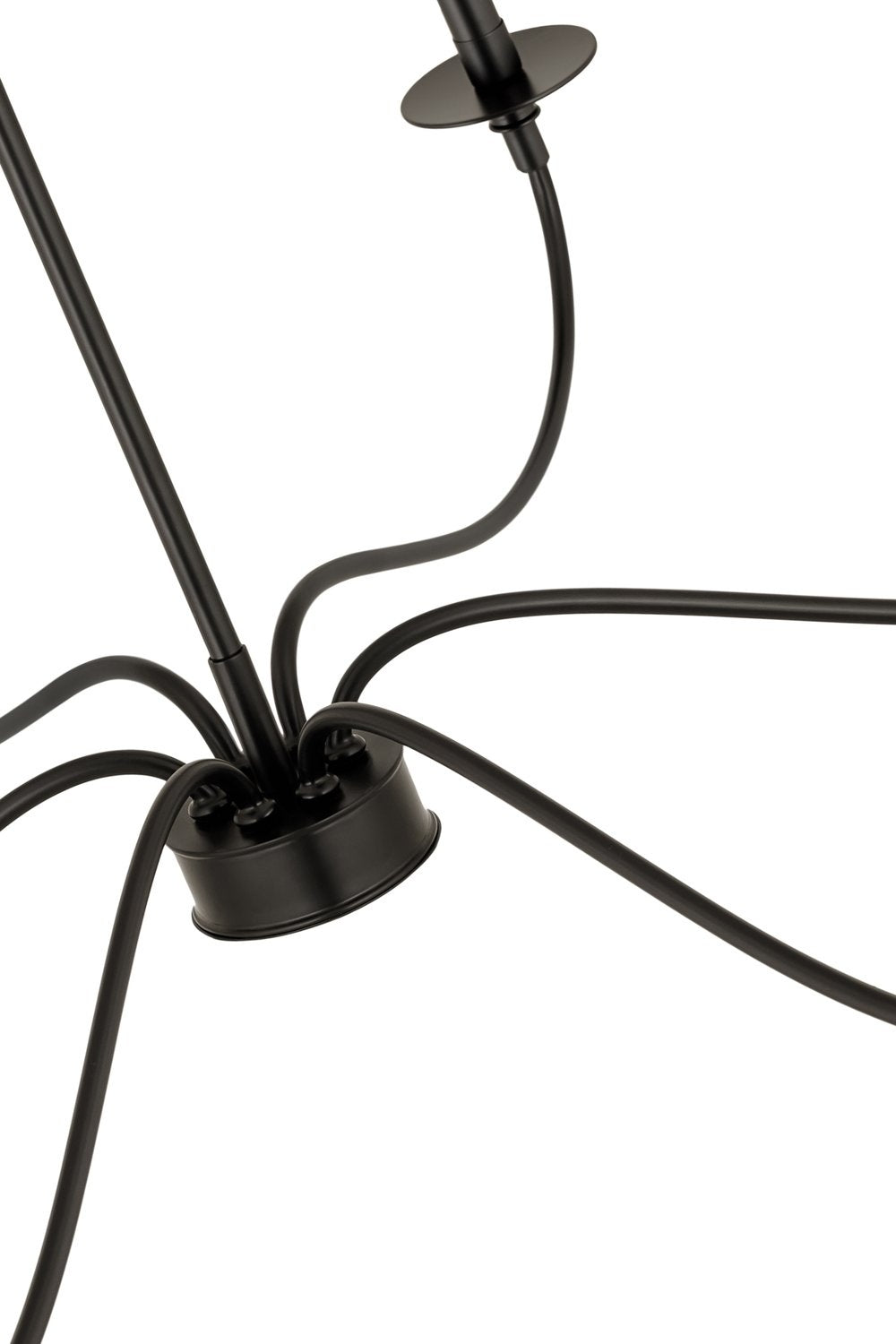 Z-LITE, ARRINGTON CHANDELIER, CHANDELIER LIGHT