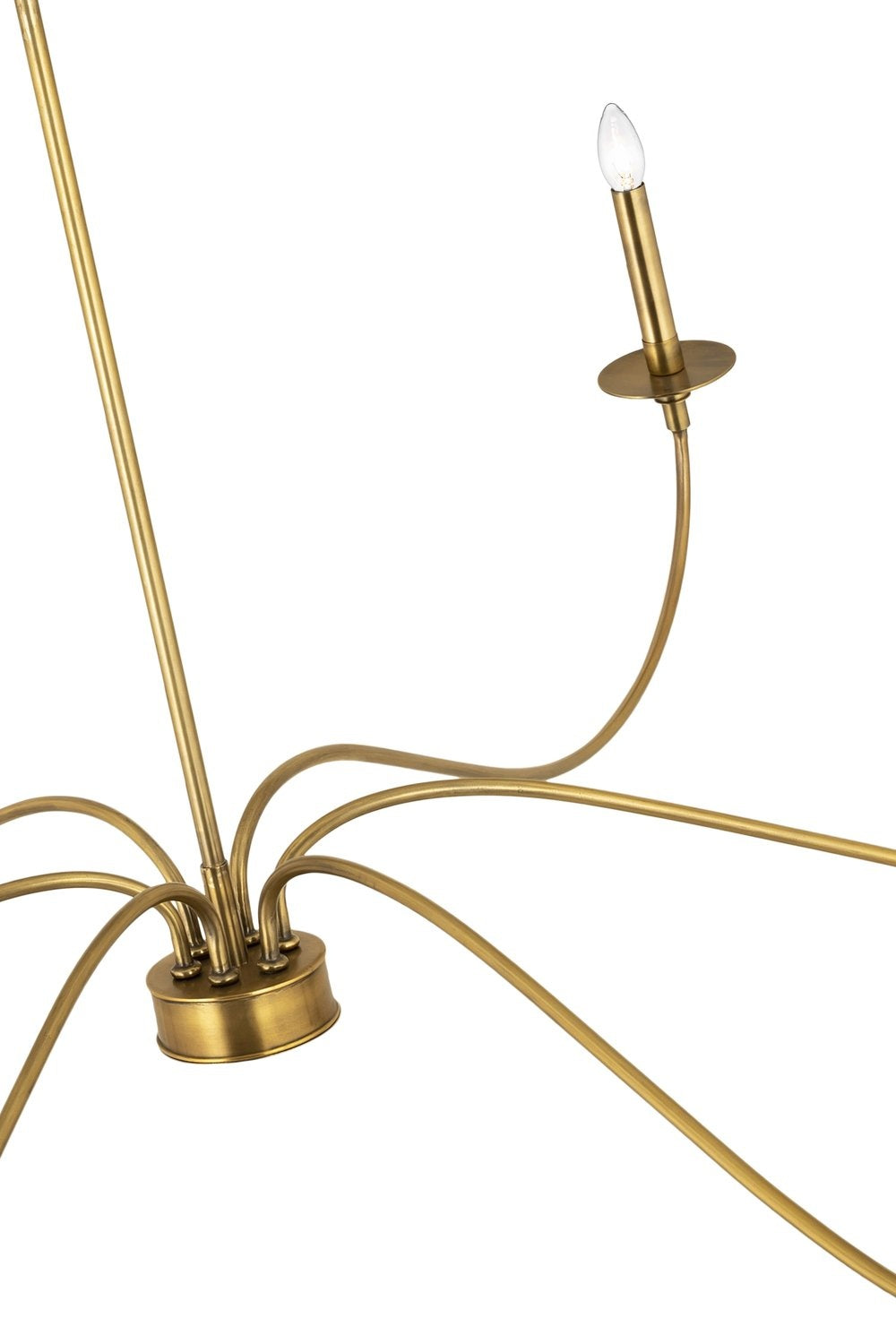 Z-LITE, ARRINGTON CHANDELIER, CHANDELIER LIGHT