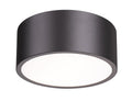 Z-LITE, HARLEY FLUSH MOUNT, FLUSH MOUNT CEILING LIGHTS