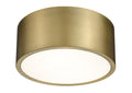 Z-LITE, HARLEY FLUSH MOUNT, FLUSH MOUNT CEILING LIGHTS 
