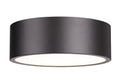 Z-LITE, HARLEY FLUSH MOUNT, FLUSH MOUNT CEILING LIGHTS