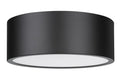 Z-LITE, HARLEY FLUSH MOUNT, FLUSH MOUNT CEILING LIGHTS 