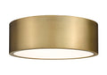 Z-LITE, HARLEY FLUSH MOUNT, FLUSH MOUNT CEILING LIGHTS 