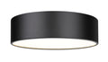 Z-LITE, HARLEY FLUSH MOUNT, FLUSH MOUNT CEILING LIGHTS 