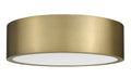 Z-LITE, HARLEY FLUSH MOUNT, FLUSH MOUNT CEILING LIGHTS
