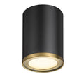 Z-LITE, ARLO FLUSH MOUNT, FLUSH MOUNT CEILING LIGHTS
