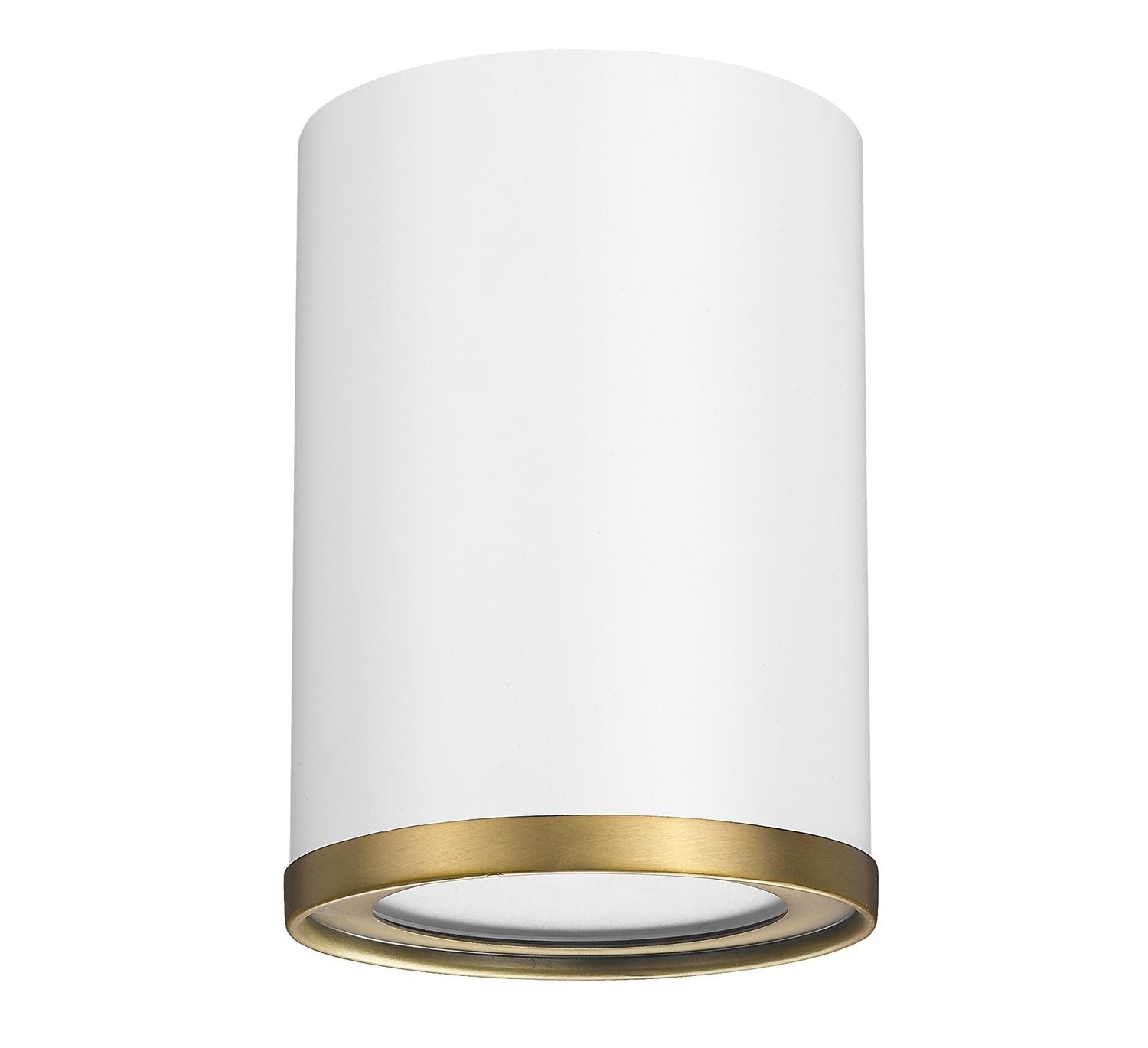 Z-LITE, ARLO FLUSH MOUNT, FLUSH MOUNT CEILING LIGHTS