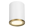 Z-LITE, ARLO FLUSH MOUNT, FLUSH MOUNT CEILING LIGHTS