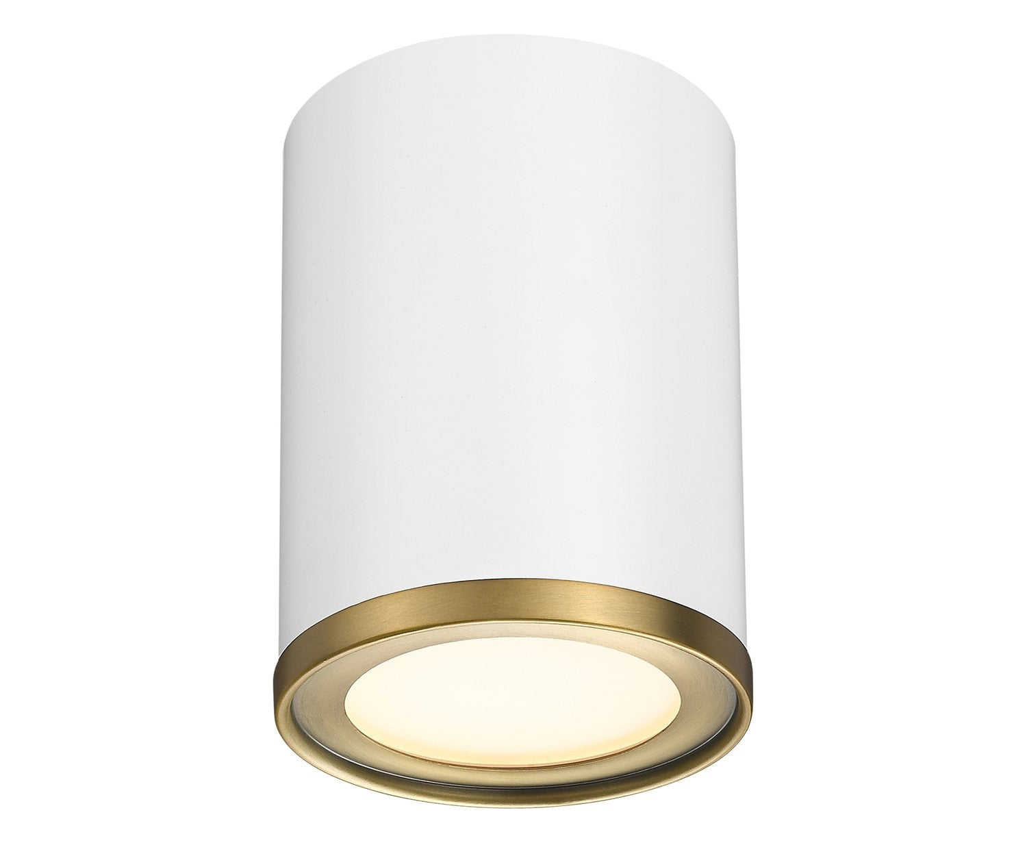 Z-LITE, ARLO FLUSH MOUNT, FLUSH MOUNT CEILING LIGHTS